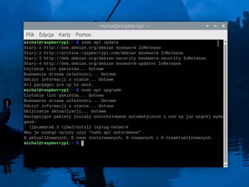 sudo apt upgrade